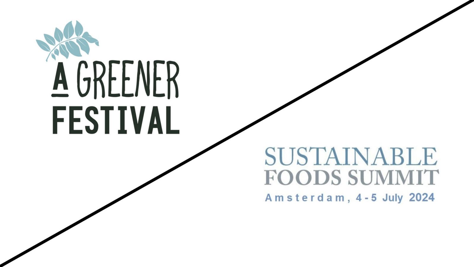 Case Studies of Successful Green Events